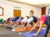 Yogafestival-104.jpg
