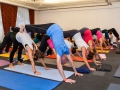 Yogafestival-54.jpg